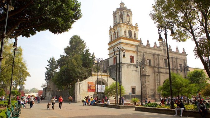 XOCHIMILCO & COYOACAN (Private) - The guide experience: commentary helps, but English level can vary