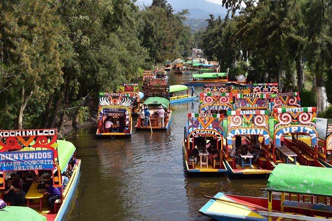 XOCHIMILCO & COYOACAN (Private) - Time math: why traffic can eat the day