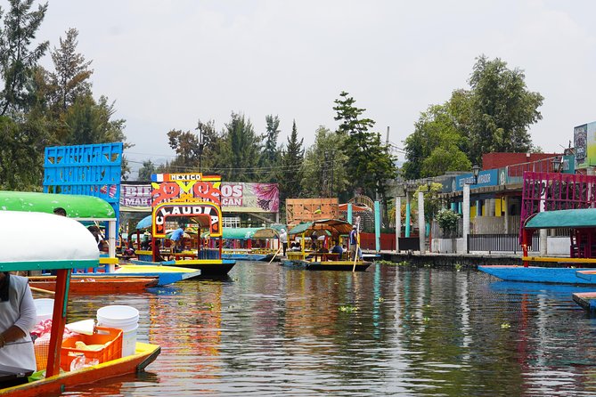 Xochimilco & Coyoacan with Frida Kahlo Private Tour - Price and value: what $241 per person buys (and when it won’t)