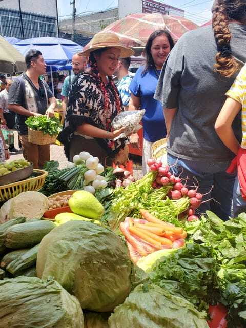 Xochimilco: Market, Food and Nature ¡All included! Tour - The bike taxi to Fernando Celada pier: quick, fun, and practical