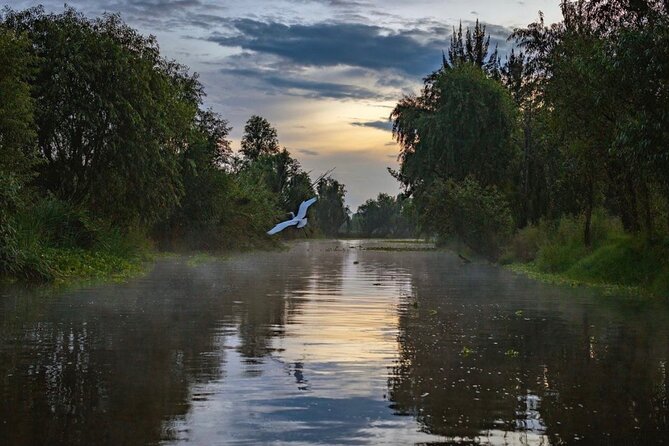 Xochimilco Sunrise from Mexico - Key highlights to know before you go