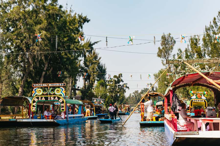 Xochimilco: traditional boat tour, culture, and fun. - Xochimilco on a trajinera: history you can feel